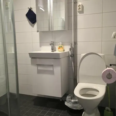 3 Huonetta Ja Keittio Vaajakoskentiella Appartamento Jyväskylä